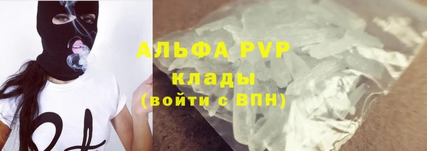 стафф Волоколамск