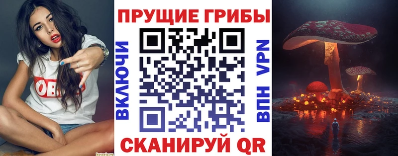 Псилоцибиновые грибы MAGIC MUSHROOMS  Купить закладки  Усмань 